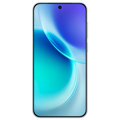 Vivo X300 12GB+256GB Mist Blue